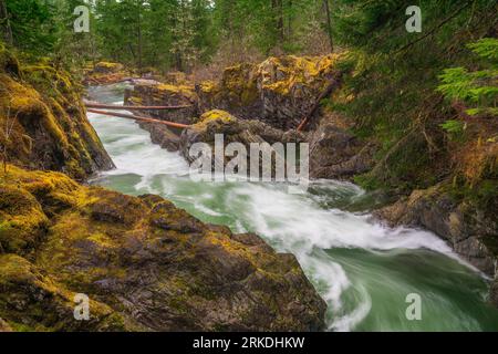 Le cascate Little Qualicum e la gola sull'Isola di Vancouver, British Columbia, Canada. Foto Stock