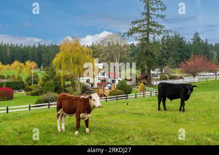 Il Capernwray Harbour Bible Center a Thetis Island, Vancouver Island, British Columbia, Canada. Foto Stock