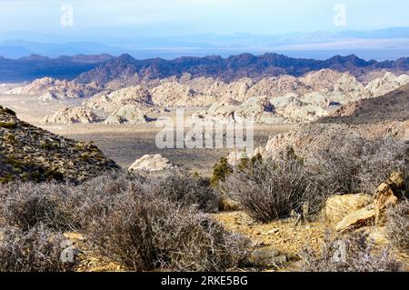 The Wonderland of Rocks as seen from Ryan Mountain at Joshua Tree National Park, California. Stock Photo