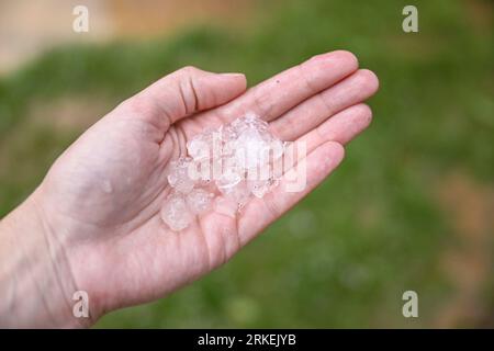 Ottignies, Belgio. 25 agosto 2023. L'illustrazione mostra una mano che regge alcuni grumi di grandine, le dimensioni dei marmi, in un giardino, dopo una pioggia pesante e grandine cadute a Ottignies - Louvain-la Neuve, venerdì 25 agosto 2023. BELGA PHOTO LAURIE DIEFFEMBACQ Credit: Belga News Agency/Alamy Live News Foto Stock