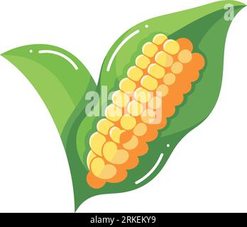 Hand Drawn Pod corn in flat style isolated on background Stock Vector