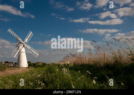 Thurne Mill, Norfolk Foto Stock