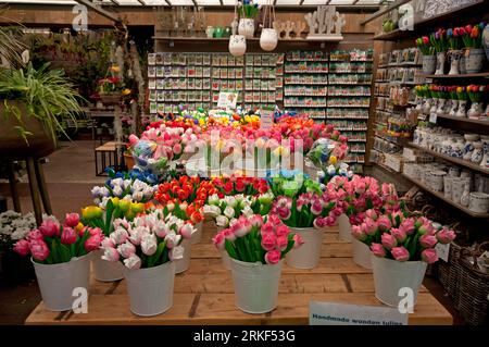 Tulipani di legno in vendita a Bloemenmarkt, mercato galleggiante dei fiori sul canale Singel, Amsterdam, Paesi Bassi Foto Stock