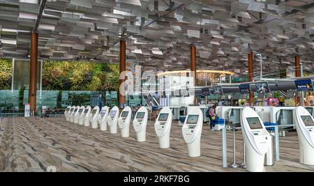 Moderni chioschi per il check-in in aeroporto presso l'aeroporto Changi di Singapore. Foto Stock