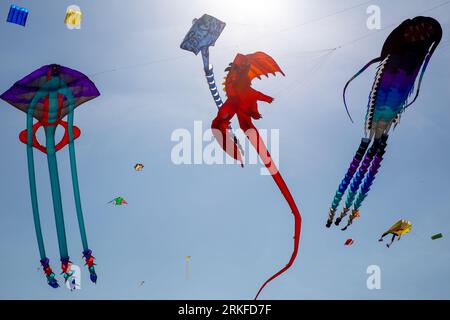 Aquiloni in aria a un festival Foto Stock