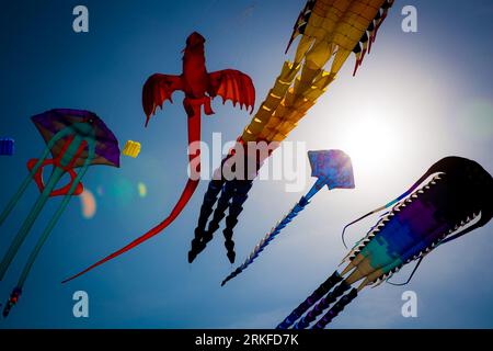 Aquiloni in aria a un festival Foto Stock