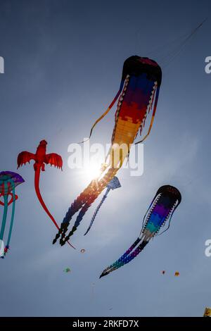 Aquiloni in aria a un festival Foto Stock