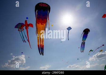 Aquiloni in aria a un festival Foto Stock