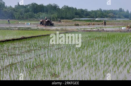 Bildnummer: 55419677  Datum: 31.05.2011  Copyright: imago/Xinhua (110601) -- HEFEI, June 1, 2011 (Xinhua) -- Farmers work in the rice fields of Shucheng County, which was located in the lower reaches of Longhekou reservoir, east China s Anhui Province on May 31, 2011. The lingering drought has affected Anhui Province since this spring. Longhekou reservoir, one reservoir of the Pishihang water conservancy system, has irrigated a total area of 103,300 hectares in its lower reaches since April 29, 2011. Up to now, the reservoir has supplied almost 21.8 million cubes of water, securing the use of Stock Photo