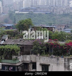 Bildnummer: 55427516  Datum: 31.05.2011  Copyright: imago/Xinhua (110604) -- CHONGQING, June 4, 2011 (Xinhua) -- A resident is pictured among plants on the rooftop of a residential building in Chongqing, southwest China, May 31, 2011. In despite of the narrow space in the hilly city, citizens in Chongqing make full use of the space on the rooftops where gardens are built with green plants, flowers and vegetables, which appears the unique scenery of the city. By far, the green coverage of the city has reached 37%. (Xinhua/Liu Jie) (hdt) CHINA-CHONGQING-ENVIRONMENT (CN) PUBLICATIONxNOTxINxCHN Ge Stock Photo