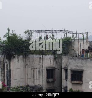 Bildnummer: 55427517 Datum: 02.06.2011 Copyright: imago/Xinhua (110604) -- CHONGQING, 4 giugno 2011 (Xinhua) -- Un residente è raffigurato tra le piante sul tetto di un edificio residenziale a Chongqing, nel sud-ovest della Cina, 2 giugno 2011. Nonostante lo spazio ristretto nella città collinare, i cittadini di Chongqing sfruttano appieno lo spazio sui tetti dove i giardini sono costruiti con piante verdi, fiori e verdure, che appare lo scenario unico della città. Di gran lunga, la copertura verde della città ha raggiunto il 37%. (Xinhua/Liu Jie) (hdt) CHINA-CHONGQING-ENVIRONMENT (CN) PUBLICATIONxNOTxINxCHN GE Foto Stock