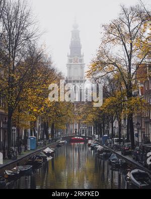 Amsterdam, Paesi Bassi - novembre 27 2022: La Zuiderkerk Tower di Amsterdam in una nebbiosa mattinata autunnale con foglie dorate che cadono dagli alberi. Foto Stock