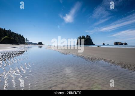 Seastacks a Second Beach nell'Olympic National Park. Foto Stock