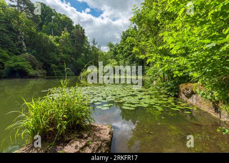 Abbots Pool è circondata da boschi, una riserva naturale locale a Abbots Leigh, North Somerset, Inghilterra. Foto Stock