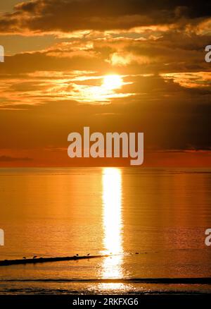 Alba sul Mare del Nord al largo di Blyth con uccelli marini che si nutrono di un tubo di uscita contro il mare caldo e nubi con un luminoso raggio di sole sul mare Foto Stock