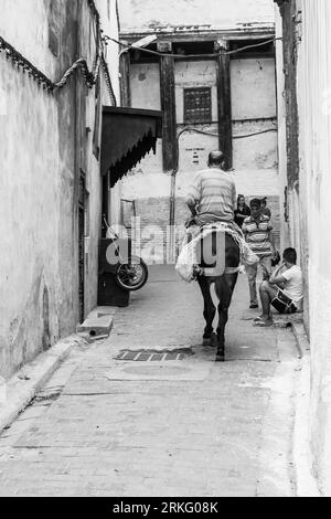 Un mulo utilizzato per il trasporto e la consegna di carichi pesanti nelle strette strade di Fez el Bali, la vecchia medina di Fez, in Marocco, Nord Africa. Foto Stock