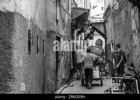 Un mulo utilizzato per il trasporto e la consegna di carichi pesanti nelle strette strade di Fez el Bali, la vecchia medina di Fez, in Marocco, Nord Africa. Foto Stock