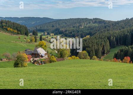 Agriturismo in paesaggio collinare nell'autunnale Jostal, Titisee-Neustadt, Foresta Nera, Baden-Wuerttemberg, Germania Foto Stock