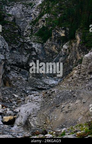 Una vista panoramica all'aperto di un sentiero tortuoso attraverso una lussureggiante area boschiva, con terreno roccioso Foto Stock