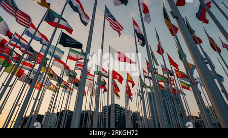 Un angolo basso di bandiere internazionali che soffiano al vento al tramonto a Doha, in Qatar Foto Stock