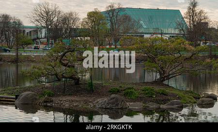 Un albero di bonsai sul Giardino Giapponese del Parco del Delaware durante la stagione primaverile Foto Stock