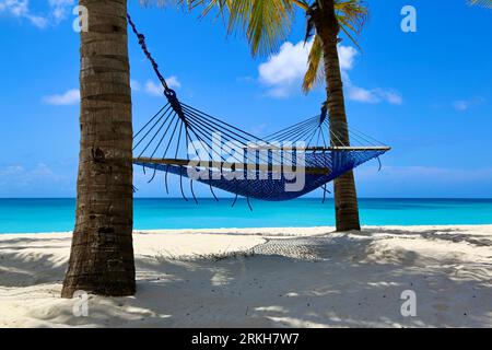 Un'amaca tra due palme sulla spiaggia di Kendwa, Zanzibar Foto Stock