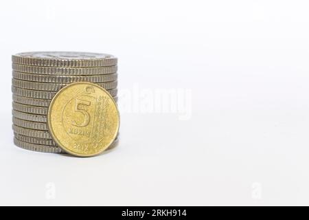Immagine ravvicinata di una moneta di lira turca su sfondo bianco Foto Stock