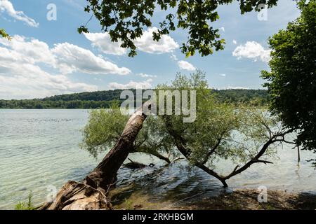 Mainau, Germania, 20 luglio 2023 fantastica vista sul lago di Costanza in una giornata di sole Foto Stock