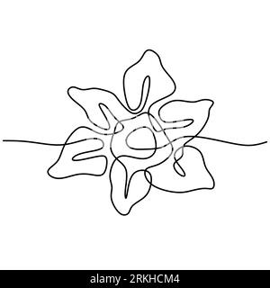 Narciso un fiore a linea continua. Suissen o Daffodil fiore simbolo di primavera, giovinezza, pasqua, ornamento disegnato a mano in stile minimalista isolato Illustrazione Vettoriale