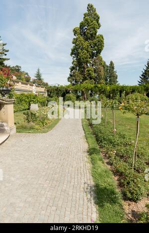 Mainau, Germania, 20 luglio 2023 affascinanti fiori e diverse piantagioni in un incantevole parco Foto Stock