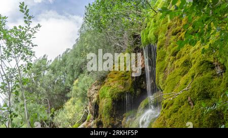 Spring of water in the karstic rock, a small waterfall in a green environment, Cuervo River source, Cuenca, Spain. Stock Photo