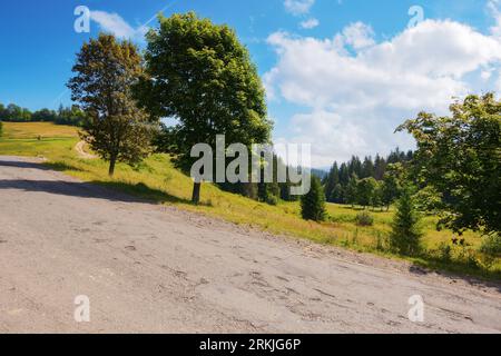 la strada attraversa il paesaggio rurale della transcarpazia. tranquillo paesaggio sul passo di montagna tra colline boscose. vista pittoresca nelle soleggiate giornate estive Foto Stock