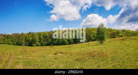 paesaggio naturale con colline boscose in una giornata di sole. grande prato tra la foresta di faggi primordiale in primavera. viaggio verso le montagne dei carpazi ucraini Foto Stock