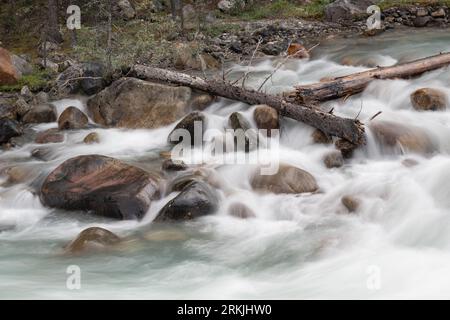 Lunga esposizione che mostra momenti acquatici, Mistaya Canyon, Icefields Parkway, Banff National Park, Alberta, Canada Foto Stock