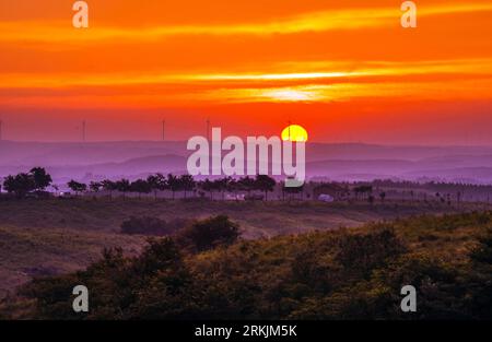 Il sole che sorge dona una tonalità dorata su un lussureggiante paesaggio rurale. Foto Stock