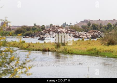 Splendido paesaggio verde sul nilo ad Assuan, Egitto Foto Stock