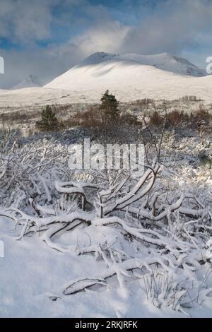 Condizioni invernali a Torridon, West Highlands of Scotland, Regno Unito Foto Stock