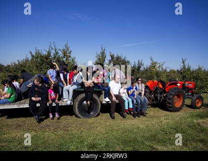 Bildnummer: 56159557 Datum: 08.10.2011 Copyright: imago/Xinhua (111009) -- BRAMPTON, 9 ottobre 2011 (Xinhua) -- i visitatori si preparano a raccogliere mele fresche presso la Big r Apple Farm di Brampton, Ontario, Canada, l'8 ottobre 2011. Molti vistori sono venuti qui per raccogliere mele fresche nel fine settimana. Molti frutteti nella provincia di Ontario organizzavano attività di raccolta con la maturazione di frutta e verdura in autunno. (Xinhua/Zou Zheng) CANADA-ONTARIO-APPLE PICKING PUBLICATIONxNOTxINxCHN Wirtschaft Gesellschaft Apfelplantage Plantage Apfelernte Ernte Äpfel Selbstpflücker xjh x0x premiumd 2011 quer 56159557 Data Foto Stock