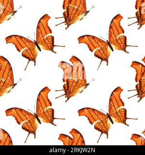 Seamless pattern with orange butterfly. Tropical insect. Illustrazione Vettoriale