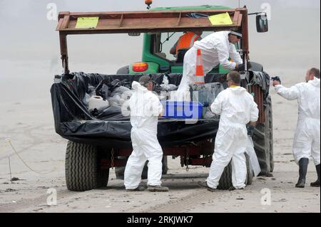 Bildnummer: 56166118 Datum: 11.10.2011 Copyright: imago/Xinhua (111011) - WELLINGTON, 11 ottobre 2011 (Xinhua) -- i lavoratori caricano sacchi di sabbia, contaminati dal petrolio della nave container arenata Rena, su un rimorchio presso il Monte Maunganui Beach, Bay of Plenty, nuova Zelanda l'11 ottobre 2011. La nave da 47 000 tonnellate colpì la barriera corallina di Astrolabe, circa 12 miglia nautiche al largo della costa di Tauranga, il 5 ottobre. I funzionari stimano che 300 tonnellate di petrolio siano state versate dal serbatoio danneggiato in mare. (Xinhua/SNPA/Ross Setford)(qs) NUOVA ZELANDA-BAY OF PLENTY-POLLUTION-RENA PUBLICATIONxNOTxINxCHN Gesellschaft Ölpest NZ Foto Stock