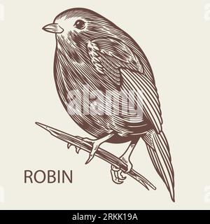 Robin bird animal sketch vintage engraved style element. European robin hand drawn retro illustration. Animals nature wildlife theme. Autumn or winter Illustrazione Vettoriale