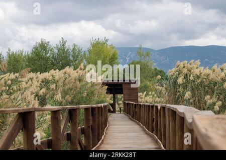 Passerella in legno e osservatorio con letti di canne nell'Albufera de Gaianes, Spagna Foto Stock