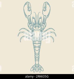 Hand drawn of vintage lobster isolated on white background in blue color. Stock Vector