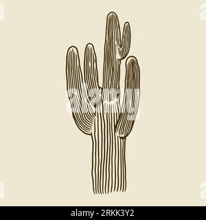 Cacti in vintage engraving style. Hand drawn succulent sketch of the desert isolated. Natural houseplant doodle sketch. Vector wild cactus forest illu Stock Vector