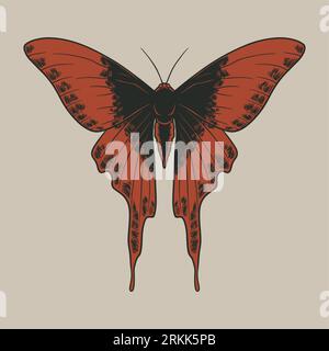 Vector vintage of butterflies in engraving style. Hand drawn botanical illustration of nymphalid isolated on white background. Universal templates for Stock Vector