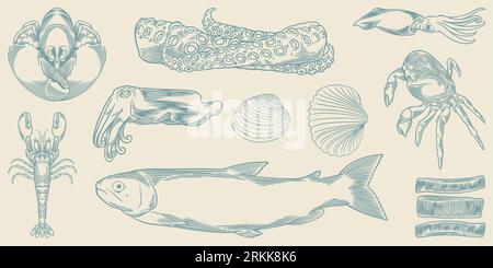 Set di animali marini disegnati a mano. Pesce fresco disegnato a mano isolato su sfondo bianco. Illustrazione Vettoriale
