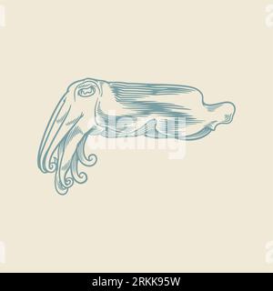 Hand drawn of octopus. Cute jellyfish sketch isolated on white background. Stock Vector