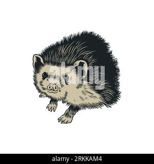Hedgehog. Animale della foresta spinosa. Grazioso porcospino isolato su sfondo bianco. Vecchio disegno vintage con incisione vettoriale disegnato a mano per tatuaggio, etichetta, poster, t Illustrazione Vettoriale