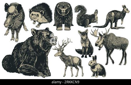 Animals of Europe hand drawn set vintage engraving. Kangaroo, hedgehog, fox, moose, deer, bear, rabbit, squirrel, boar isolated on white. Vector art i Illustrazione Vettoriale