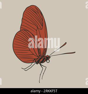 Butterfly sketch engraved hand drawn in old sketch and vintage style. Mystical esoteric symbol of freedom, flying insect. Vector illustration for tatt Illustrazione Vettoriale